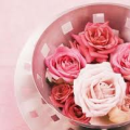 Spa tại gia bằng hoa hồng
